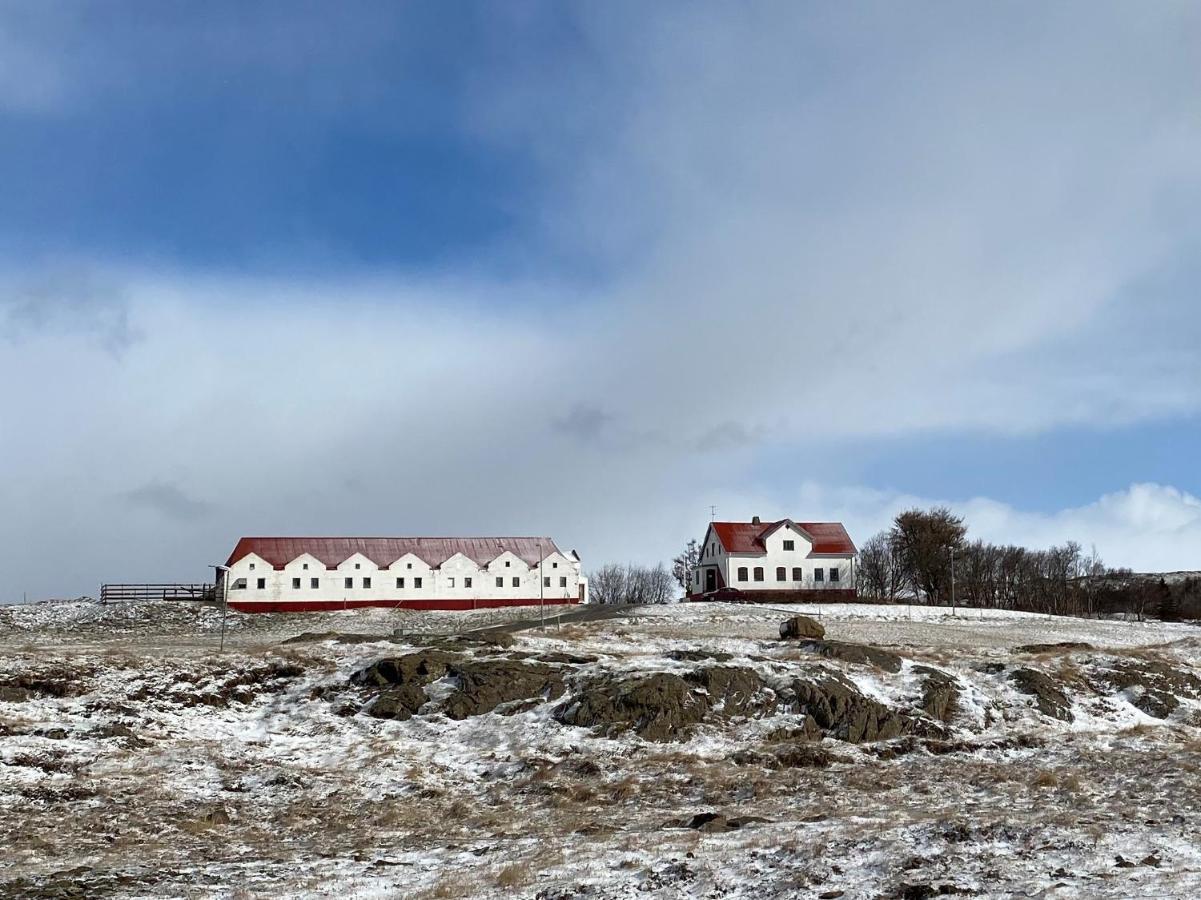 Helluland Guesthouse Saudarkrokur Екстер'єр фото