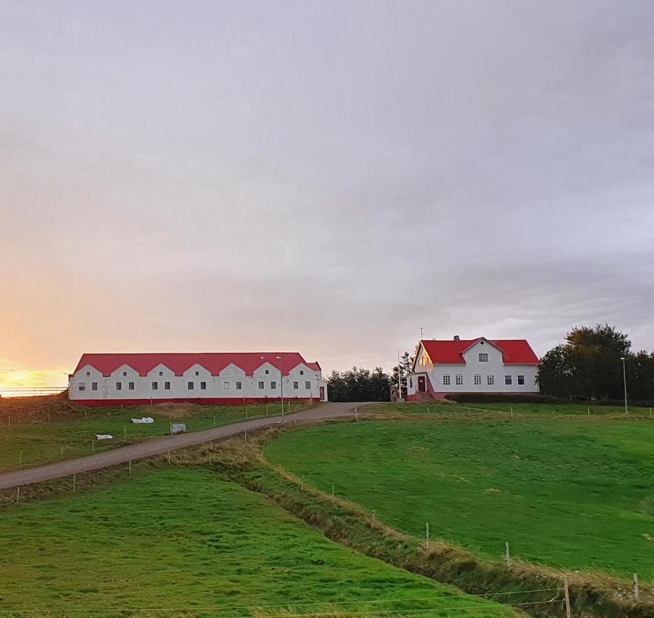 Helluland Guesthouse Saudarkrokur Екстер'єр фото