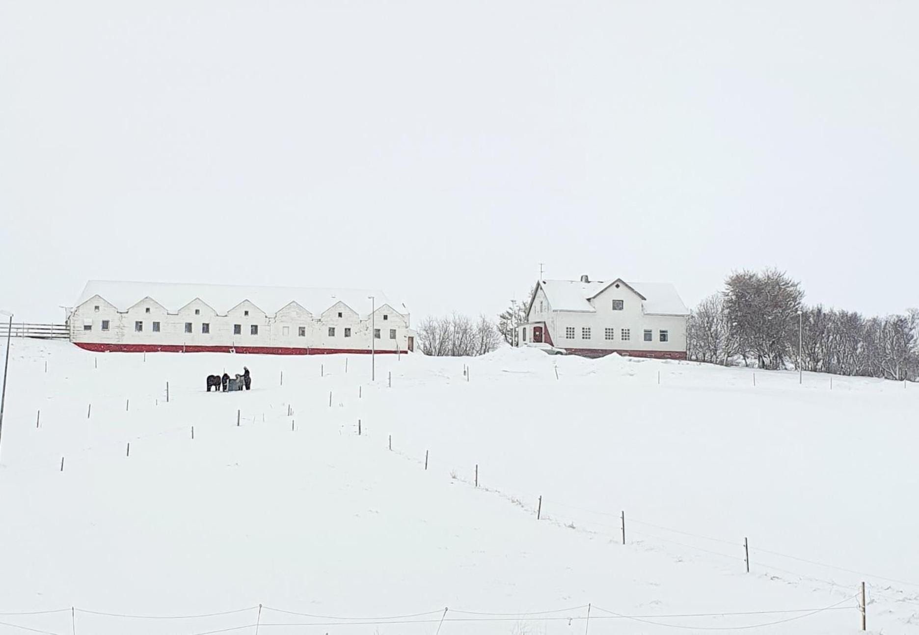 Helluland Guesthouse Saudarkrokur Екстер'єр фото